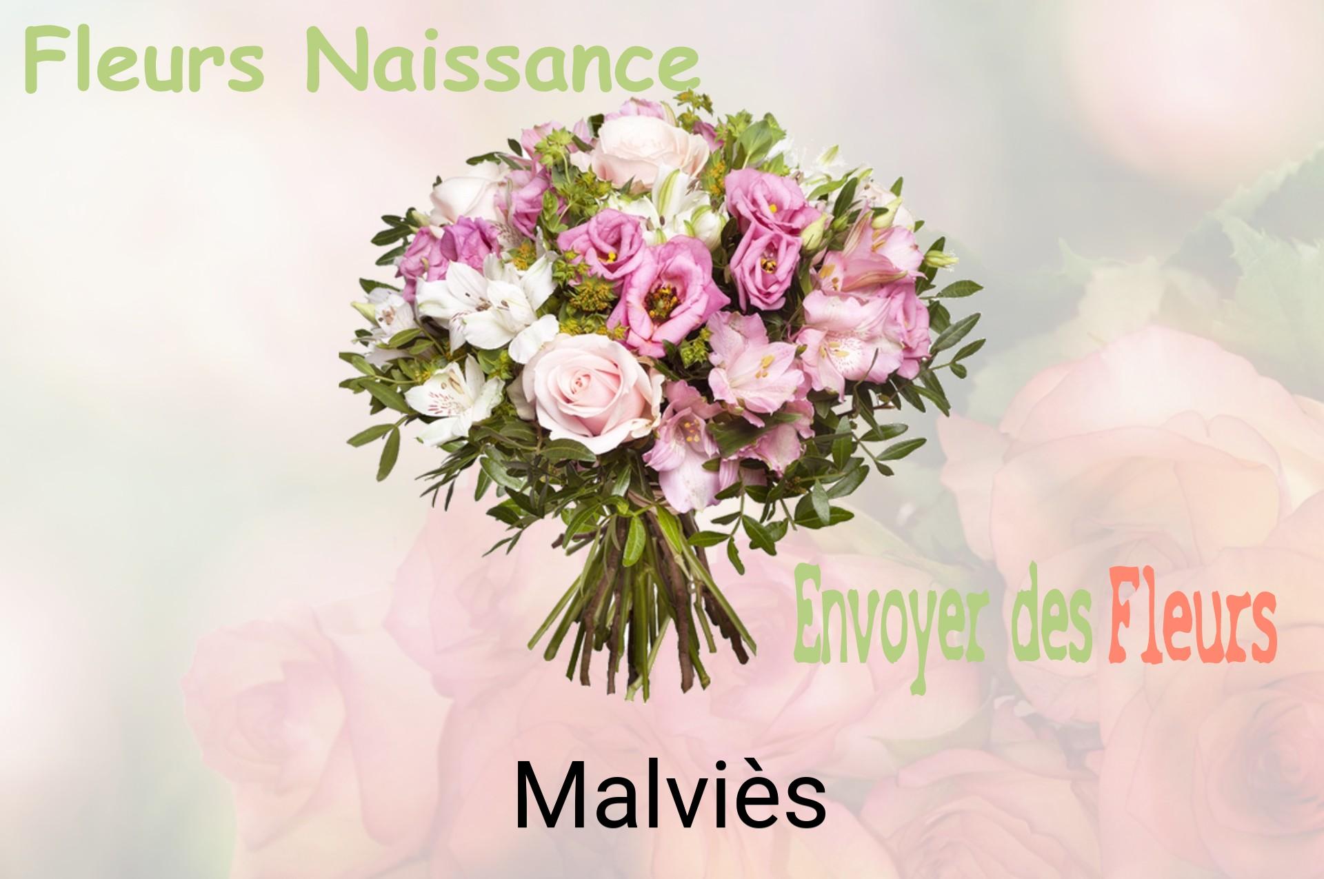 Bouquet de fleurs de naissance livré à Malviès